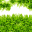 Grass Time Screensaver icon