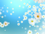 Free Effects Screensavers - Flying Camomiles Screensaver