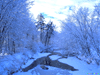 River Screensaver