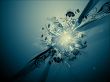 Abstract Explosion - abstract wallpaper