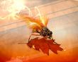 Fly on leaf - insects wallpaper