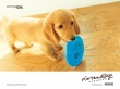 Ninten dog blue - dogs wallpaper