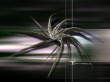 Abstract object - abstract wallpaper
