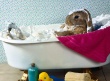 Easter Bunny Bath Wallpaper Preview