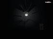 bulb spider - abstract wallpaper