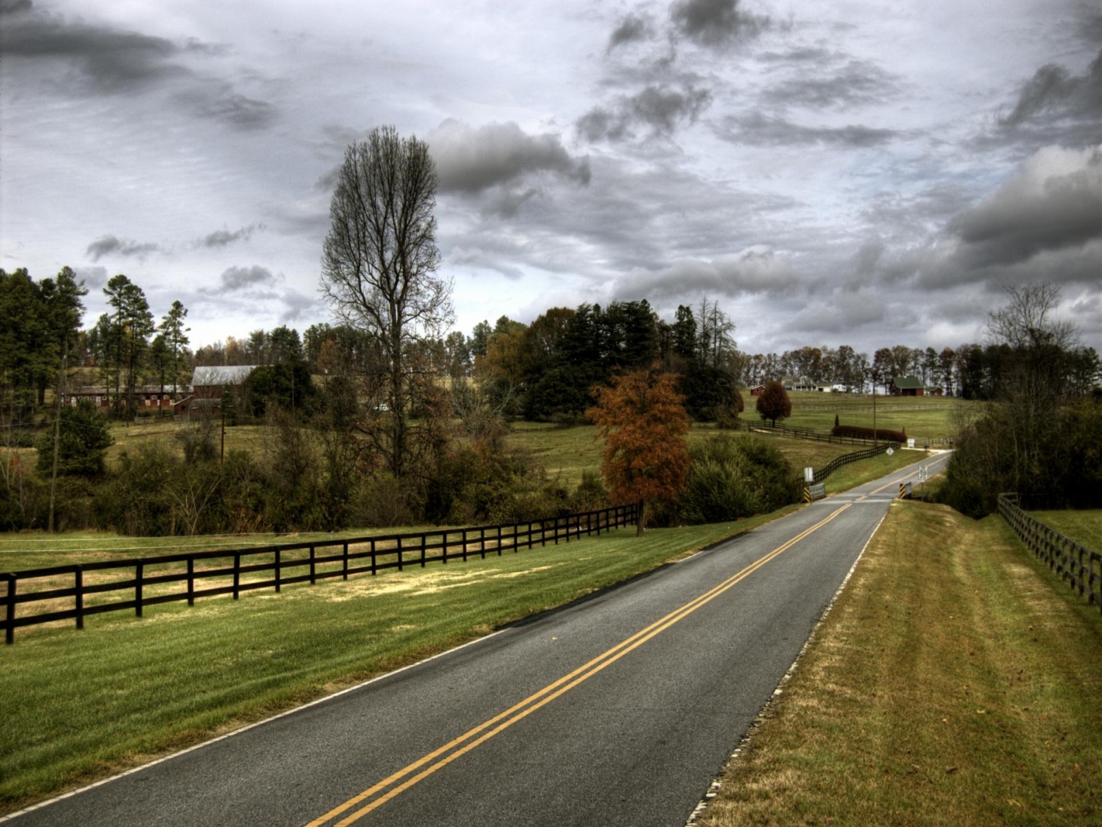 Country Road - scenery wallpaper