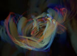 Ethereal Echoes Screensaver - Screenshot #4