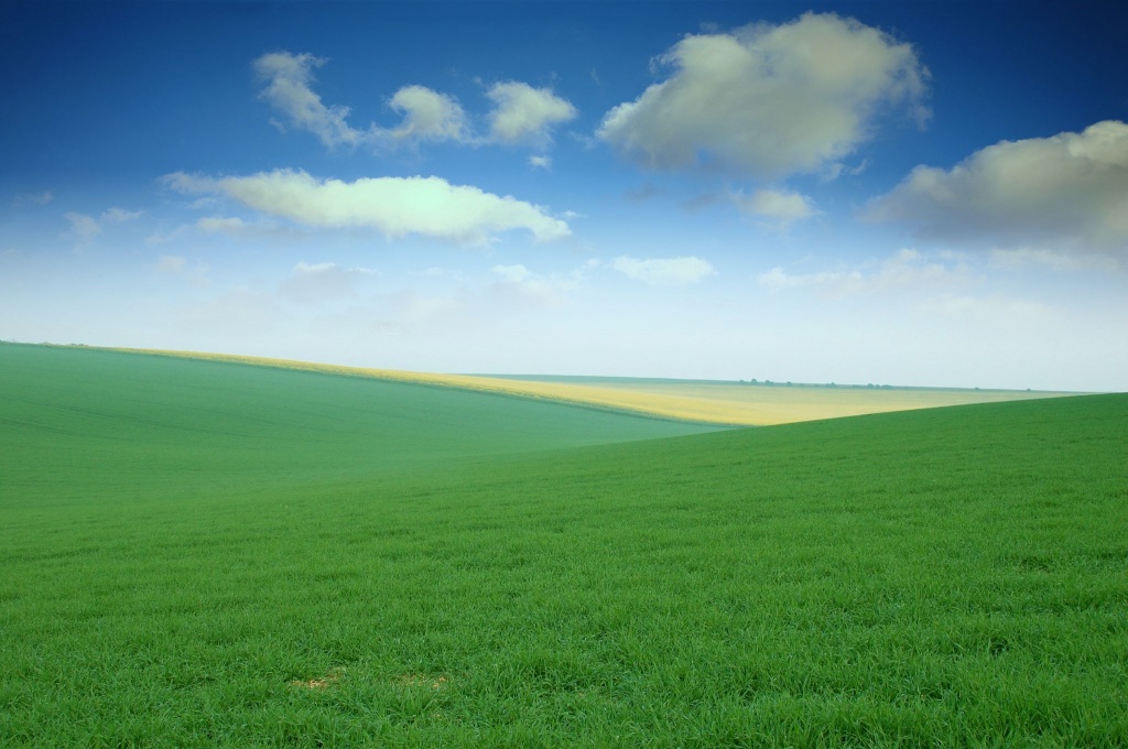 Green Field Wallpaper - SaversPlanet.com